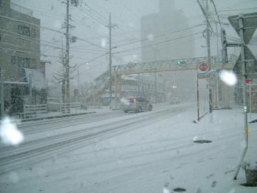 岐阜市で 今シーズン２度目の大雪でした...｜「梅田花店」　（岐阜県岐阜市の花キューピット加盟店 花屋）のブログ