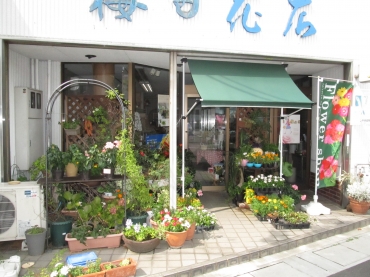 岐阜県岐阜市の花屋 梅田花店にフラワーギフトはお任せください 当店は 安心と信頼の花キューピット加盟店です 花キューピットタウン